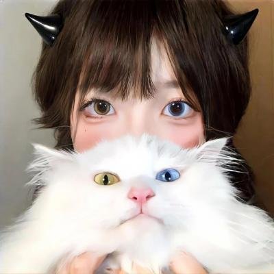 新城猎人