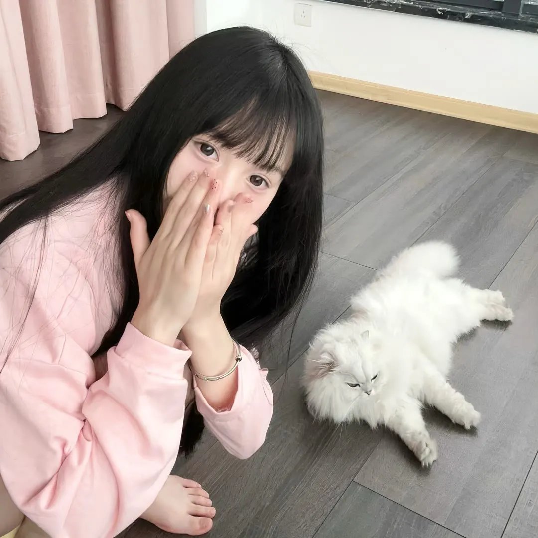 新小屁孩日记