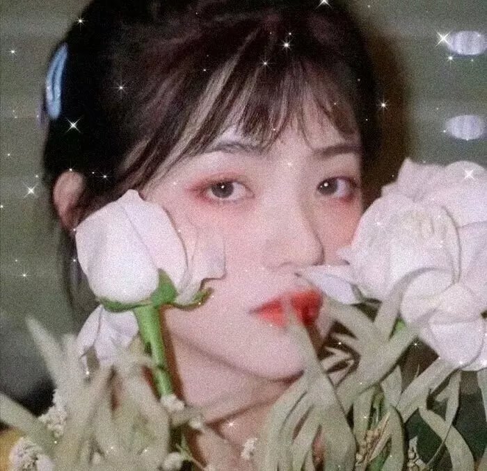 天蝎之夜